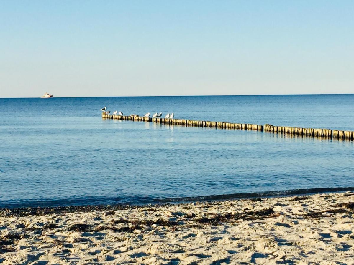 Aparthotel Waterkant Suites - Fewos Am Meer Mit Spa Börgerende-Rethwisch Екстериор снимка